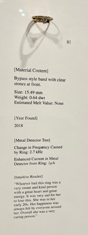 Rose Salane lost rings MTA art basel