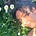 Yasmin Dahnoun's avatar
