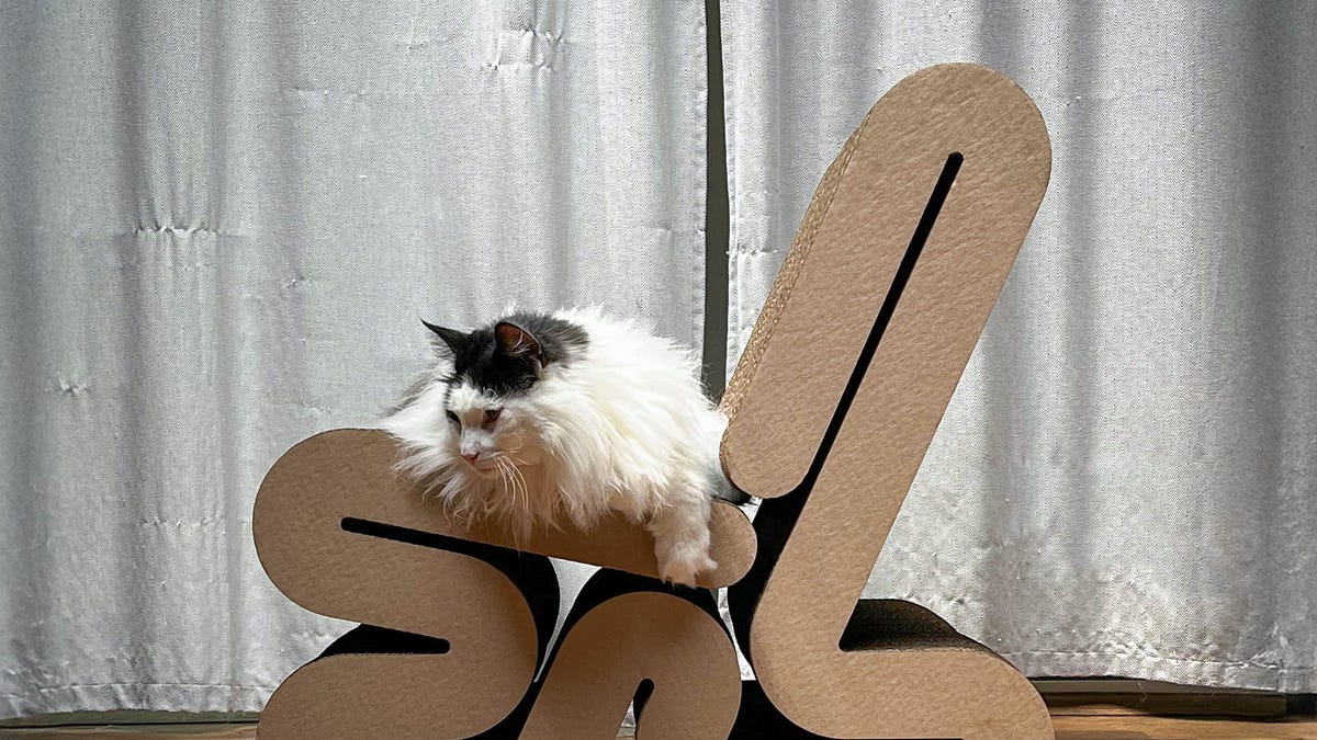 Designing the Wrinkle Chair: A Cardboard Conversation Piece