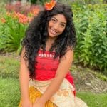 Edmonton Playgrounds A Charmed Affair Island Princess