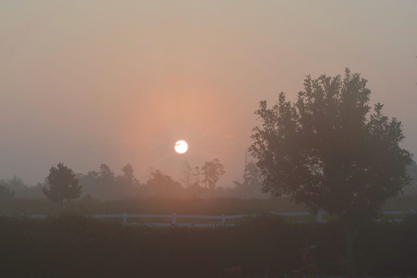 Hazy Sunrise Over Countryside with Silhouetted Trees and Fence in Foreground