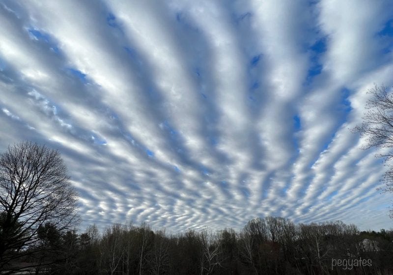 Undulatus clouds look like wavy rows