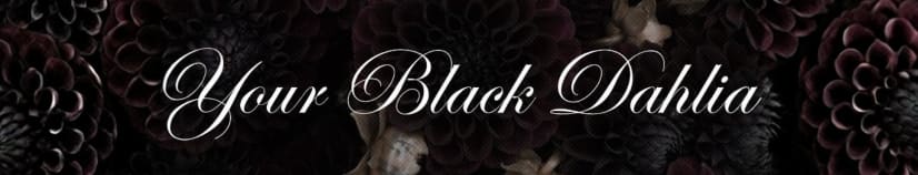 your black dahlia