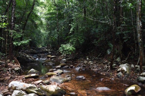 Cool and refreshing mountain waters around Lu Du Waterfall, Ko Tarutao. Cool and refreshing mountain waters around Lu Du Waterfall, Ko Tarutao.