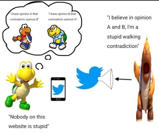 Which is truer, Goomba Fallacy or Koopa Fallacy? : r/tomorrow