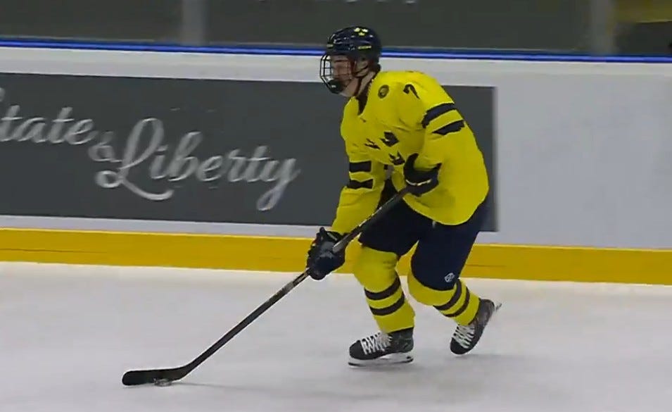 Mans Gudmundsson - 2026 NHL Draft Profile Mans Gudmundsson - 2026 NHL Draft Profile