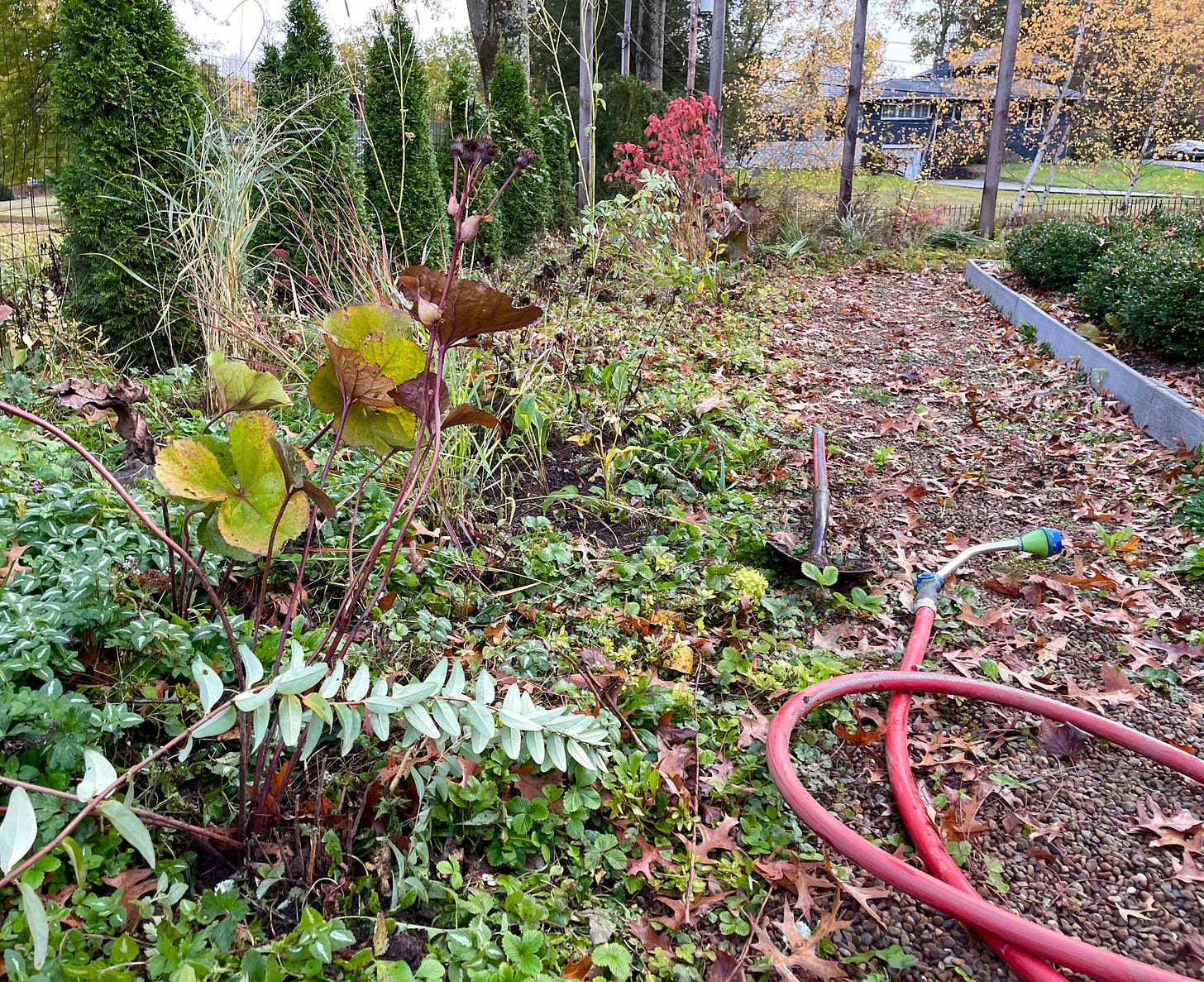 The newest section of the Hot Border, which includes the warm colors from the color wheel.
