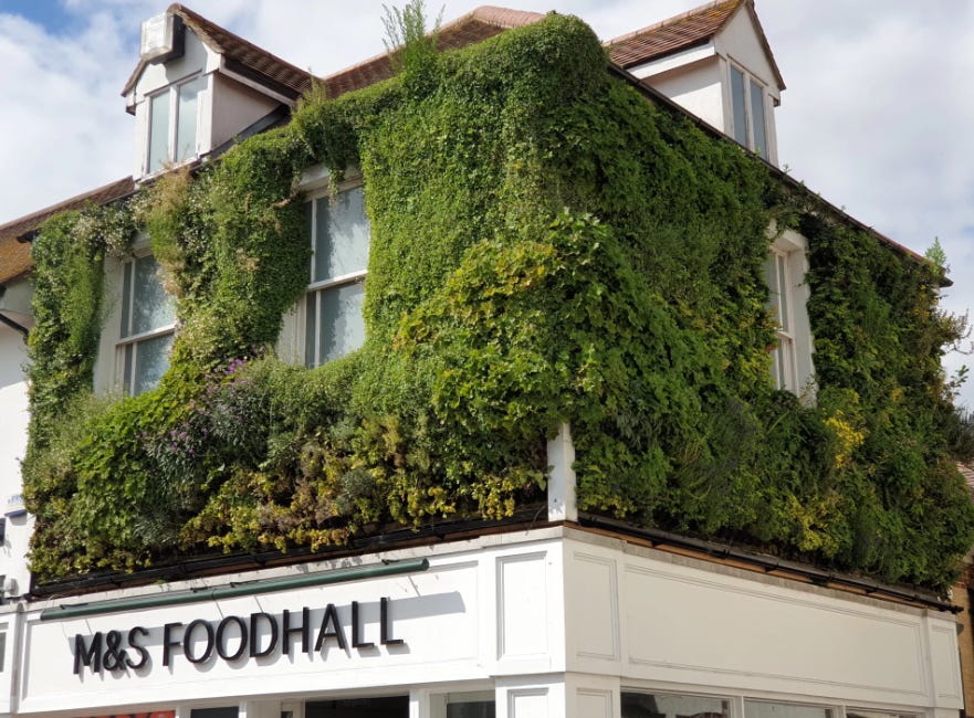 What are nature-friendly neighbourhoods?