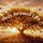 Holy Ground Life with Teresa L. Hoffman