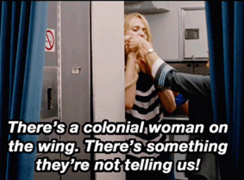 Bridesmaids Plane GIF - Bridesmaids Plane GIFs