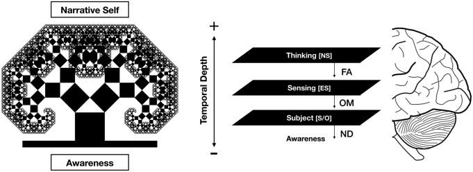Fig. 2 Fig. 2