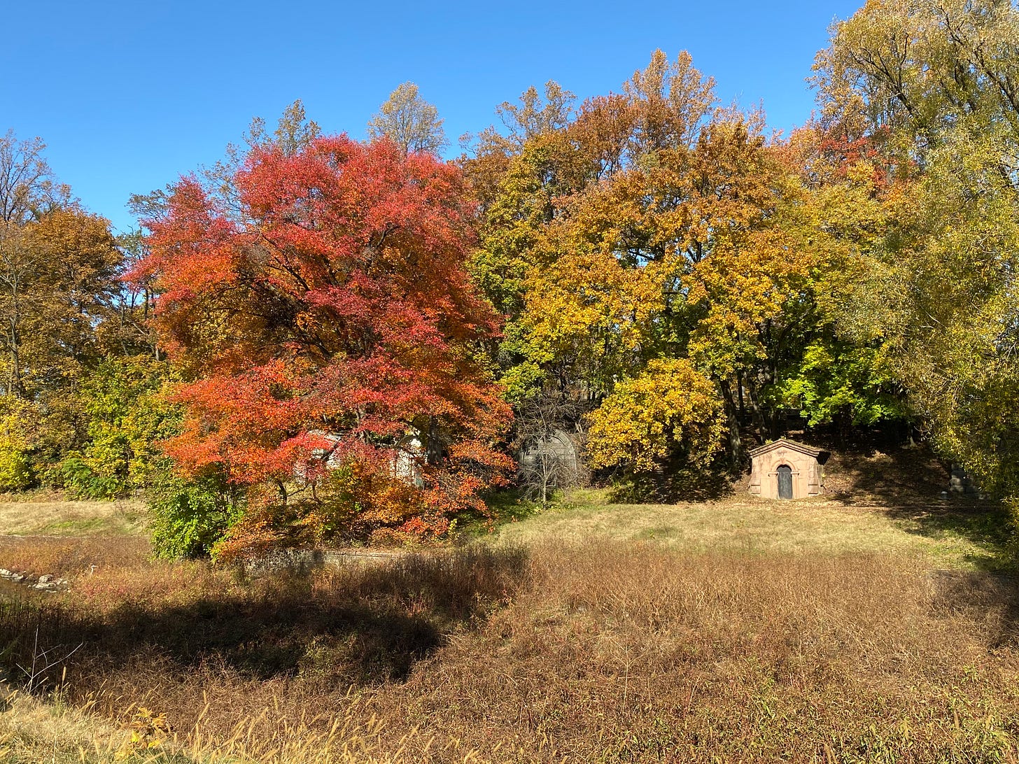 a grassy flat with autumnal trees and some mausoleums set against a bright blue sky.