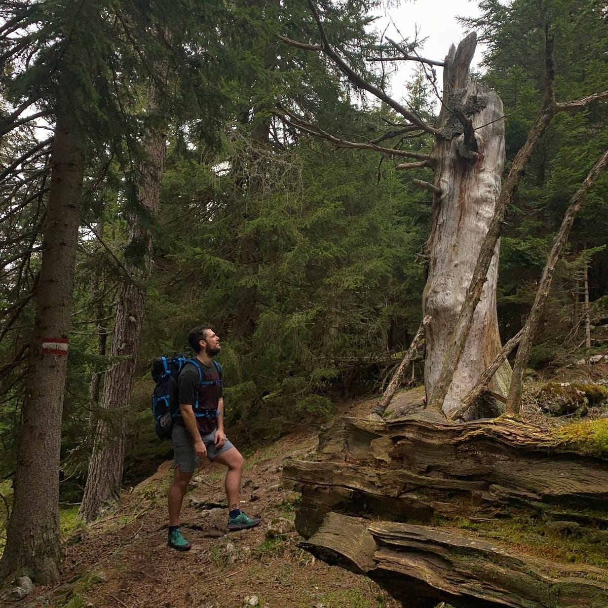 Antonio Melonio crossing the Austrian Alps.