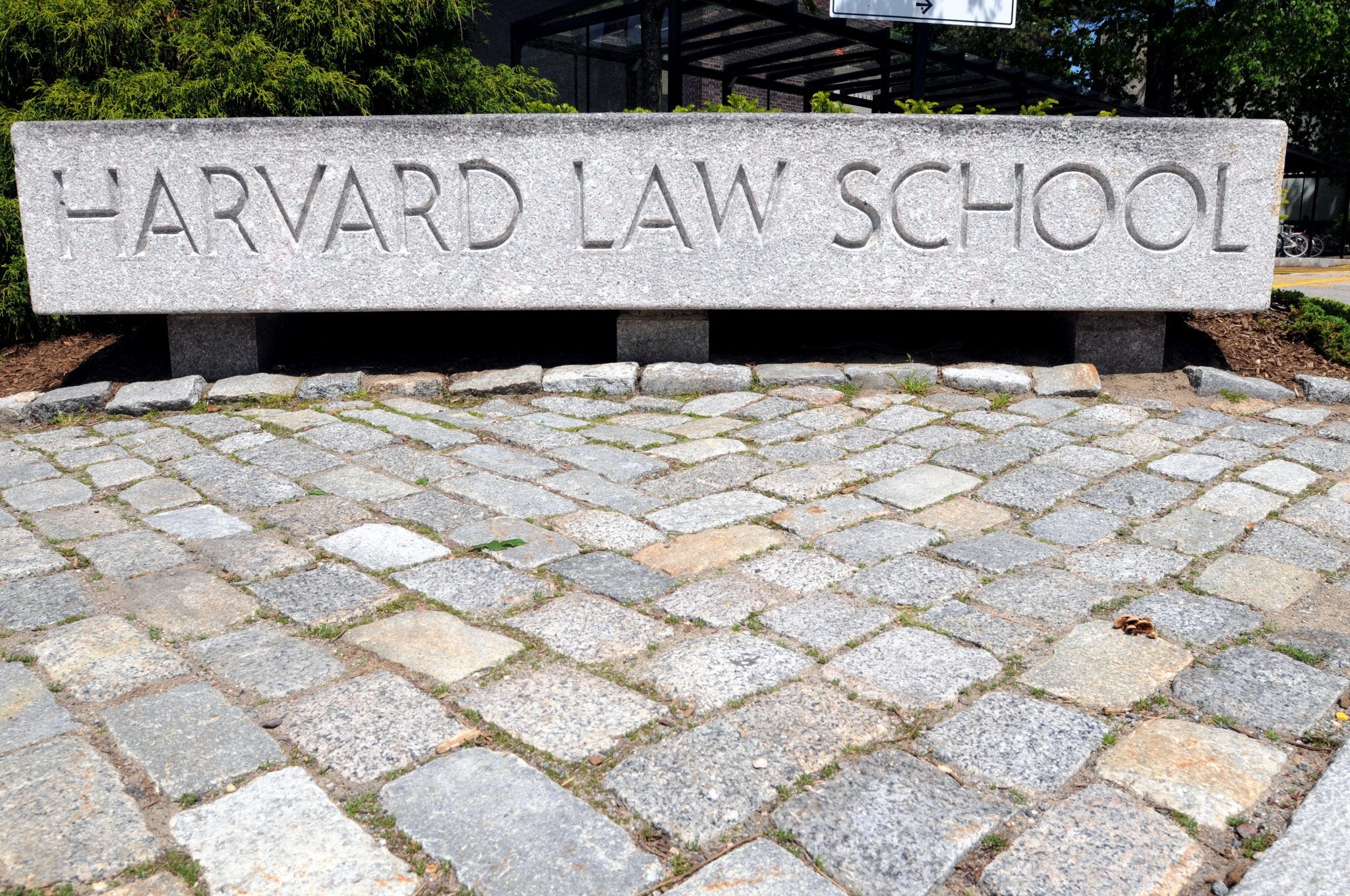 'Rat Hunting' Harvard Professor Weaved His Way Through Elite US ...