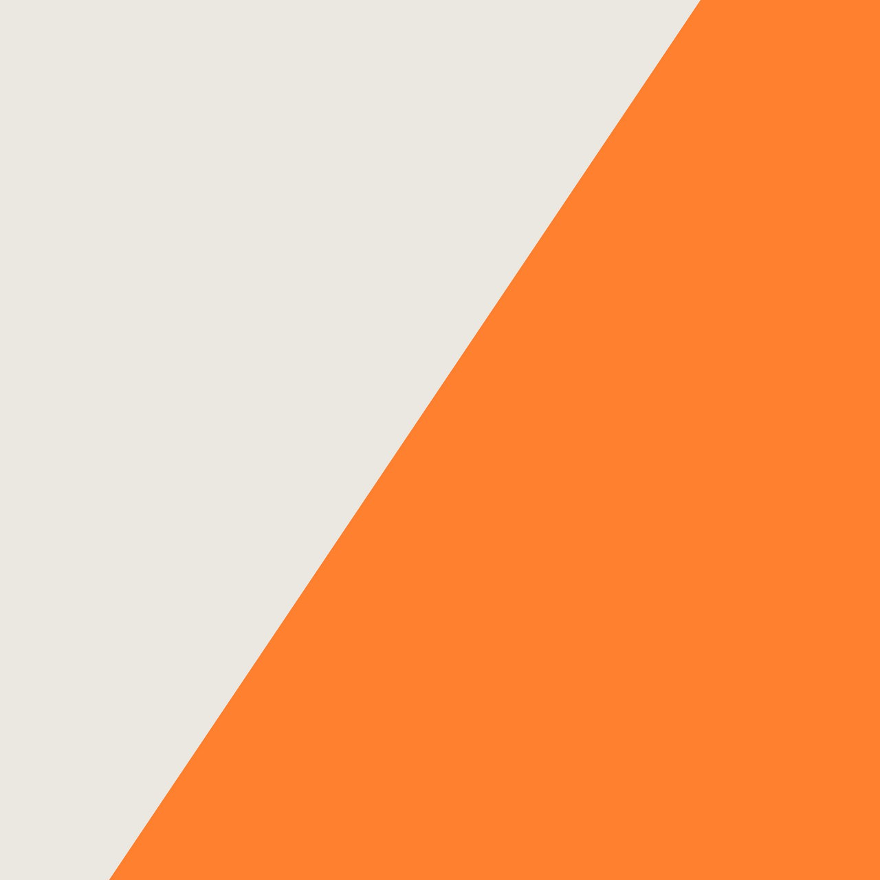 NEW ECONOMIES logo