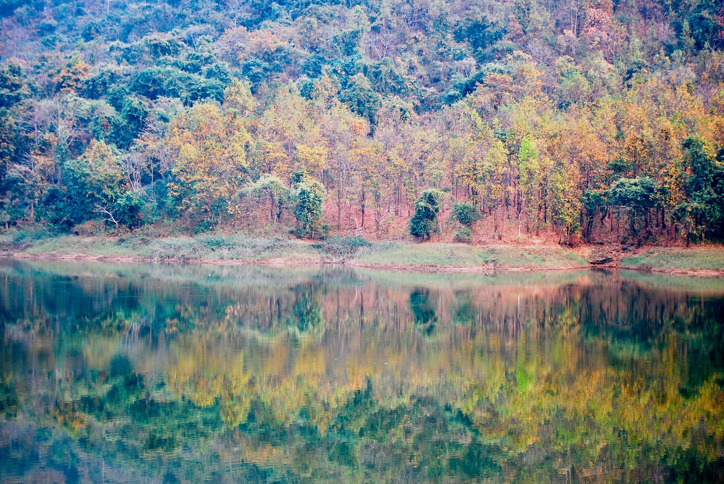 View of the foliage in Khairbera Dam valley, reflected in lake water. View of the foliage in Khairbera Dam valley, reflected in lake water.