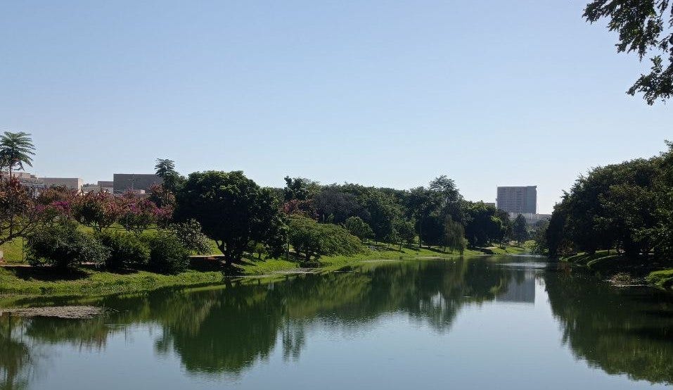 Foto colorida de paisagem em um dia ensolarado. Um rio vivo com árvores verdes nas suas margens, elas são de vários tipos e se espalham por uma área também verde. O rio se estende até o fundo da foto, lá ao final um prédio de altura média localiza o rio no meio de uma cidade. O céu está azul, a cor da água do rio está mesclada do azul do céu com o verde da floresta ao redor. Um lugar de sossego no meio da cidade.