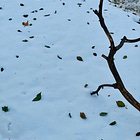 a staccato pattern of living.