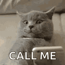 Call Me GIFs | Tenor