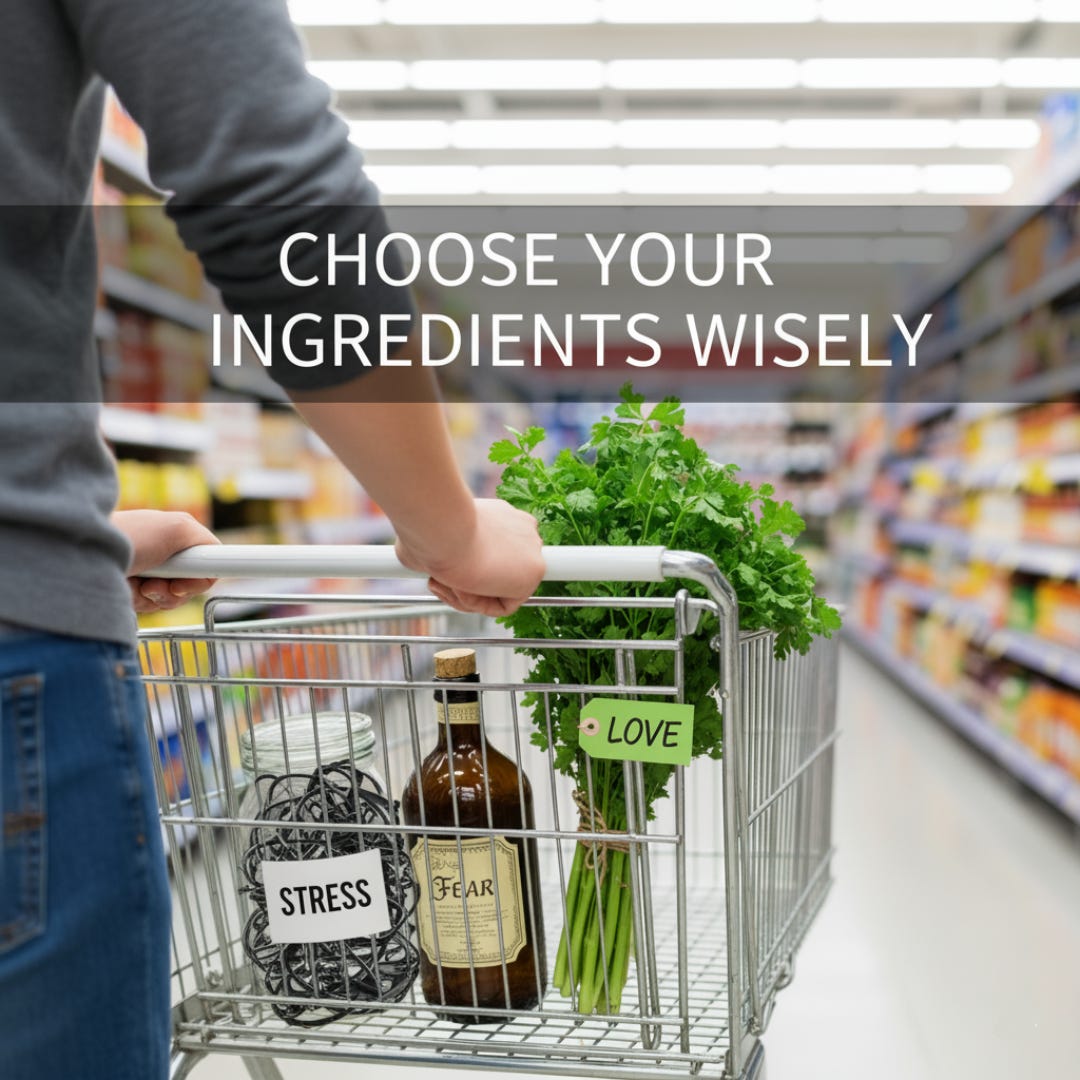 Choose Your Ingredients Wisely: What Are You Feeding Your Gut Today?