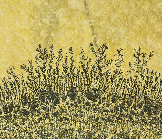 Manganese Dendrites: Mineral information, data and localities. Manganese Dendrites: Mineral information, data and localities.