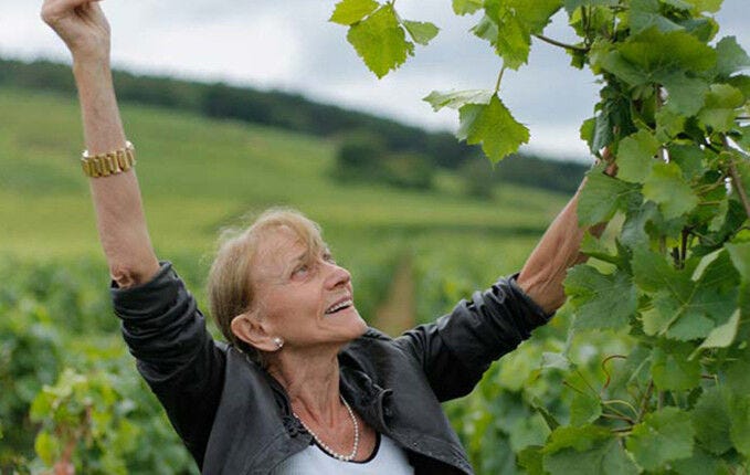 Domaine Leroy Bourgogne