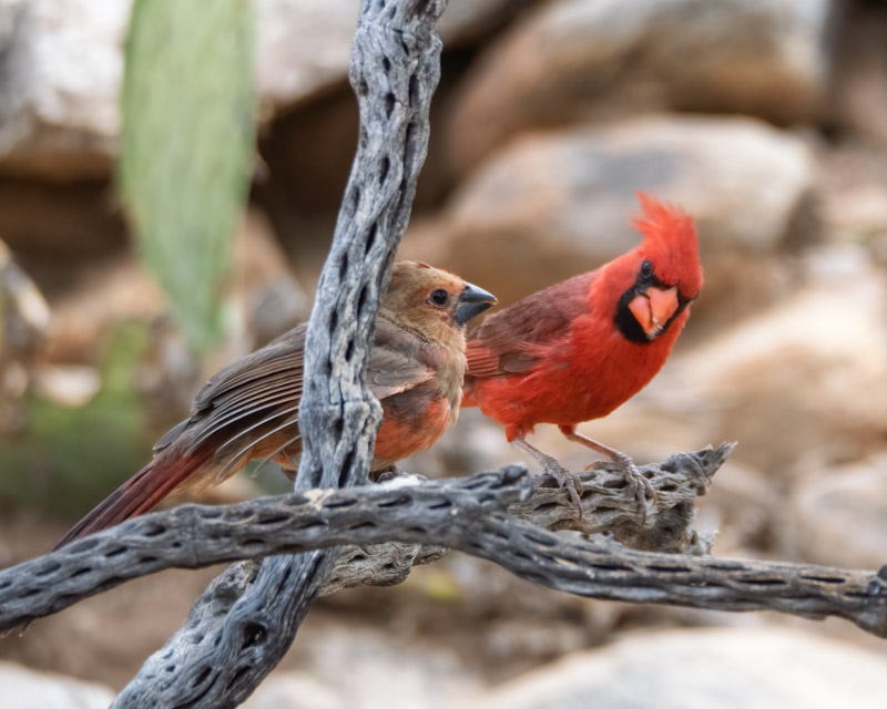 2025-531-MBY-10-Edit.jpg 2025-531-MBY-10-Edit.jpg