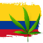 Cultivating Justice? How cannabis regulation could transform Colombia