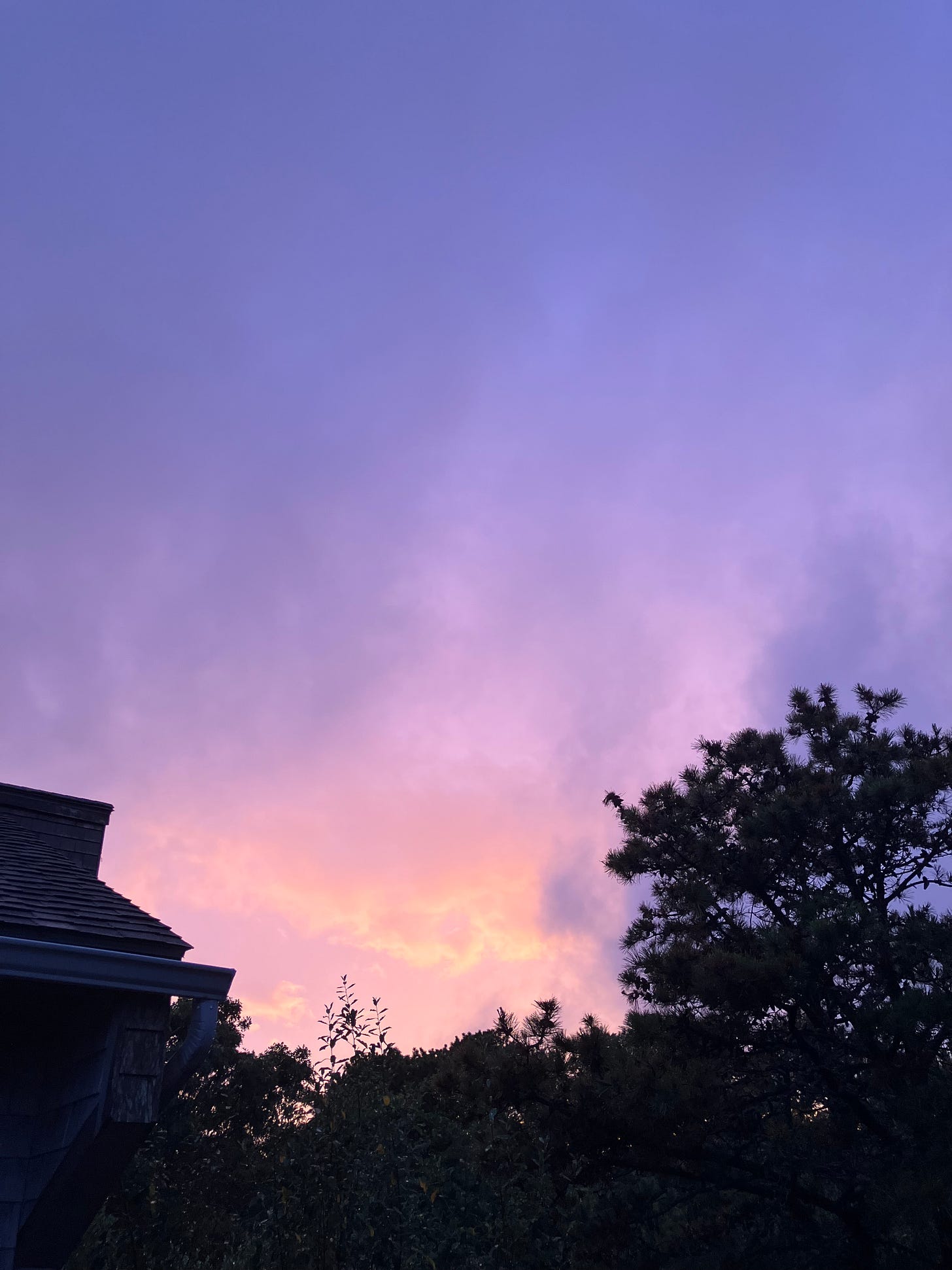 violet sky over rooftop with dark tree and burst of yellow behind cloud