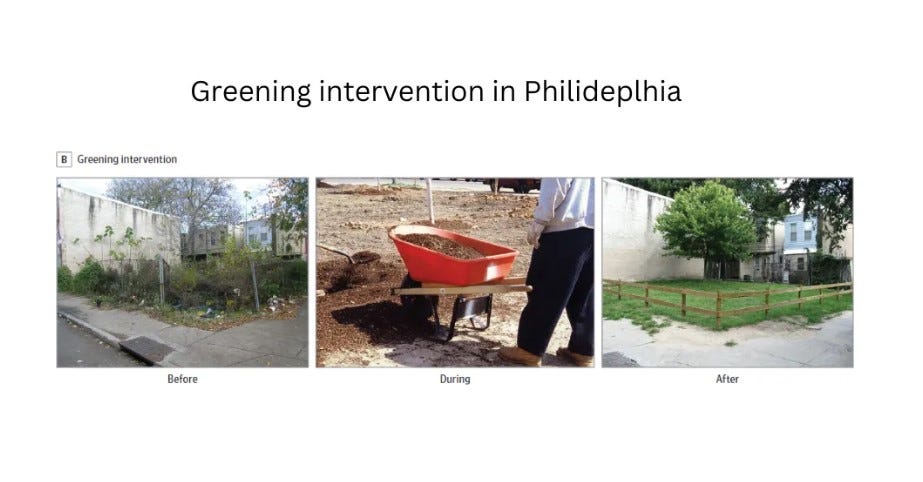 before, during, after greening activity before, during, after greening activity