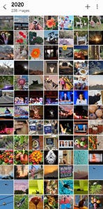 image bank