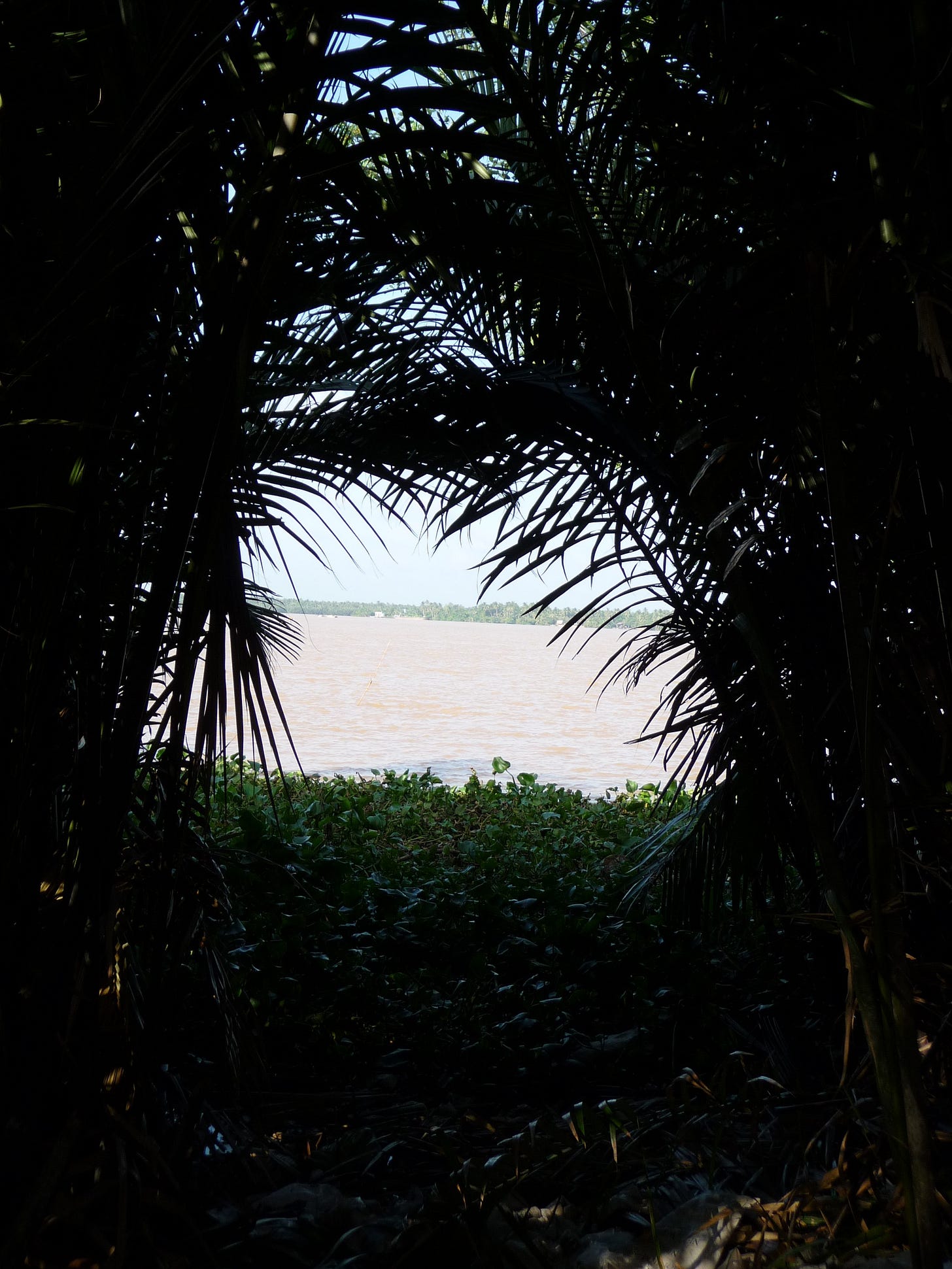 P1020296 P1020296