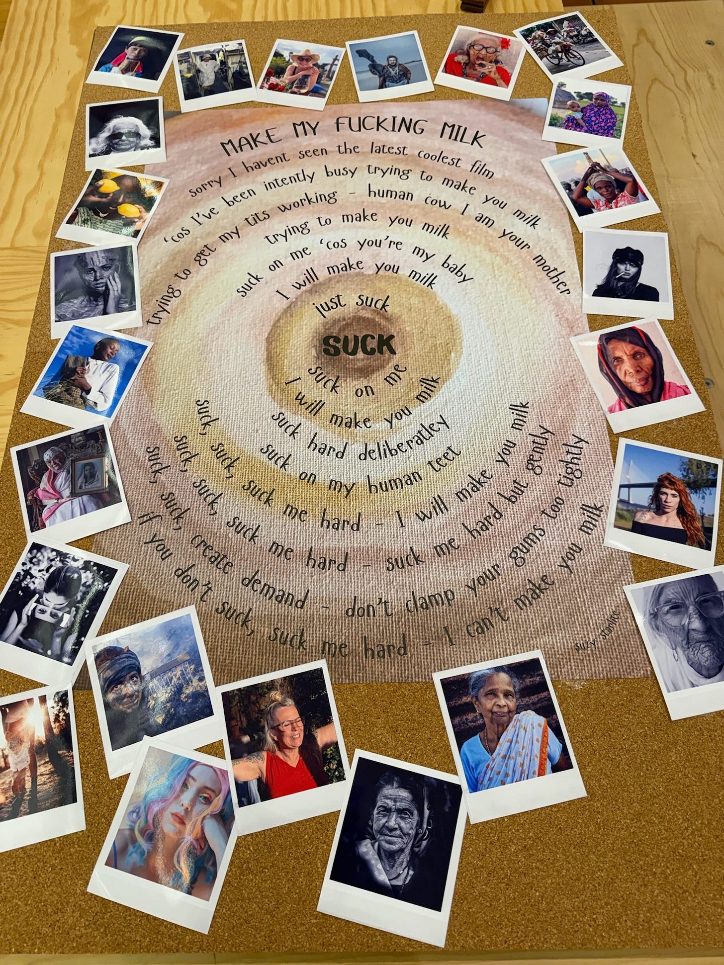 Make My Fucking Milk poster from the installation.