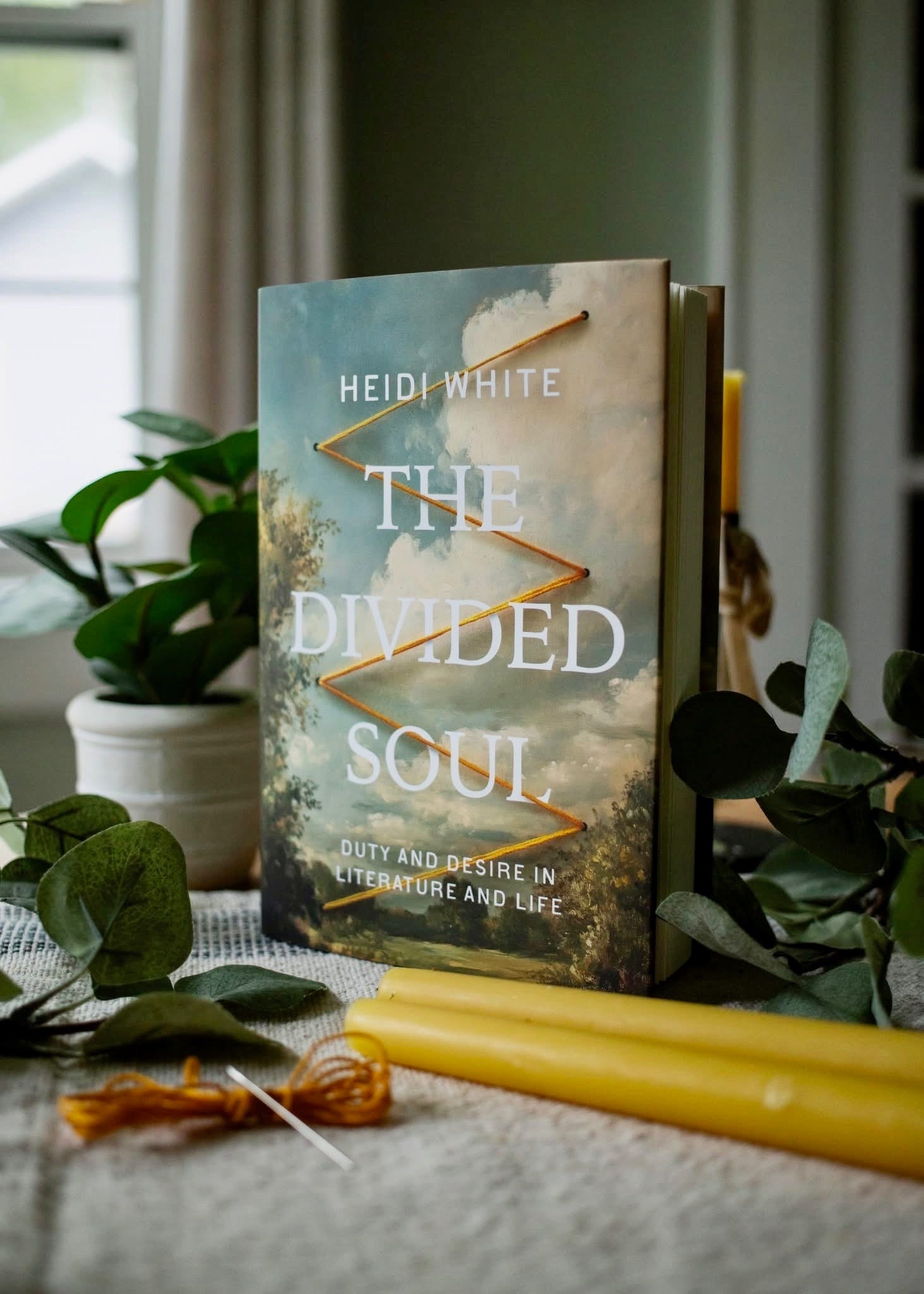 Book Release: The Divided Soul - Heidi White