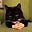 Amelea's avatar