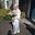 Gayle Macdonald's avatar