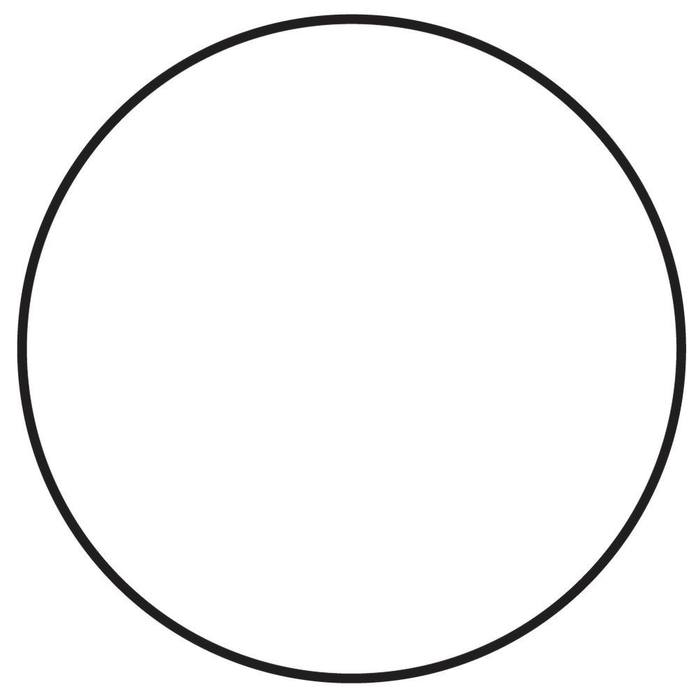 Rainie's Room: Spiral Essays & Trans Lit Interviews