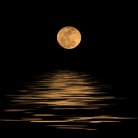 The Misadventures of Khadijah: The Wool Blanket