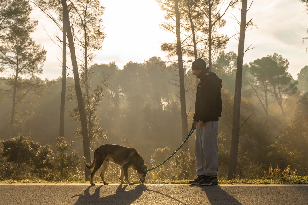 Man walking his dog in the woods.