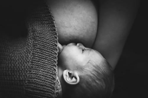 Gratis Fotos de stock gratuitas de amamantamiento, blanco y negro, cuidado de niños Foto de stock