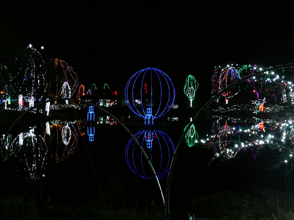 Columbus Zoo Wildlights.jpg