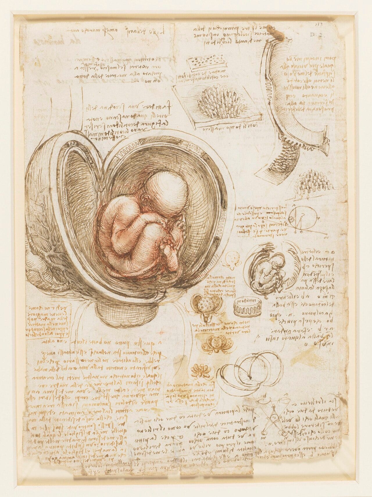Leonardo anatomical study mirror writing Leonardo anatomical study mirror writing