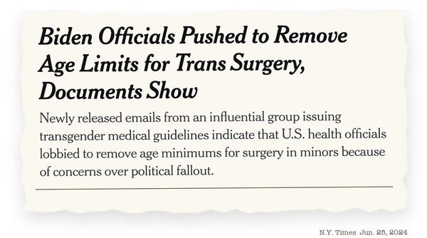image 7.png image 7.png
