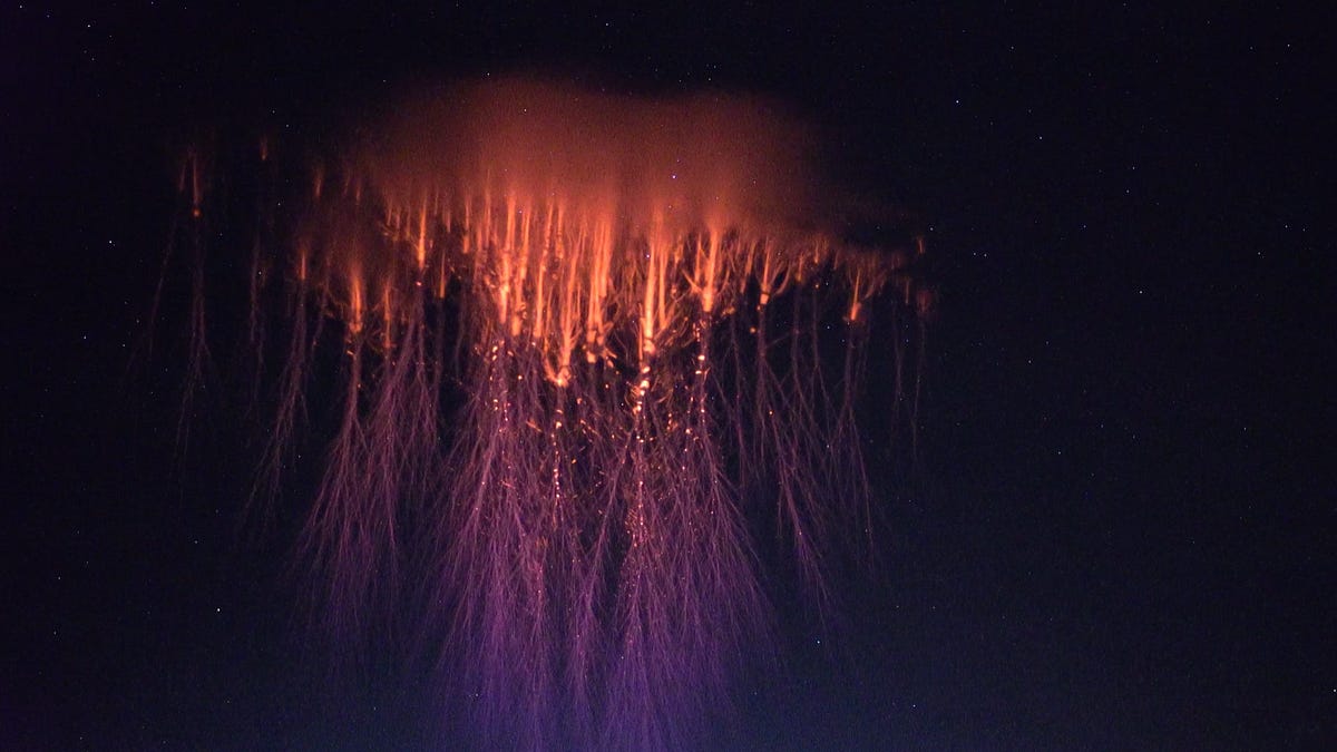 Springtime Links: jellyfish lightning, giving birth at 74, and more