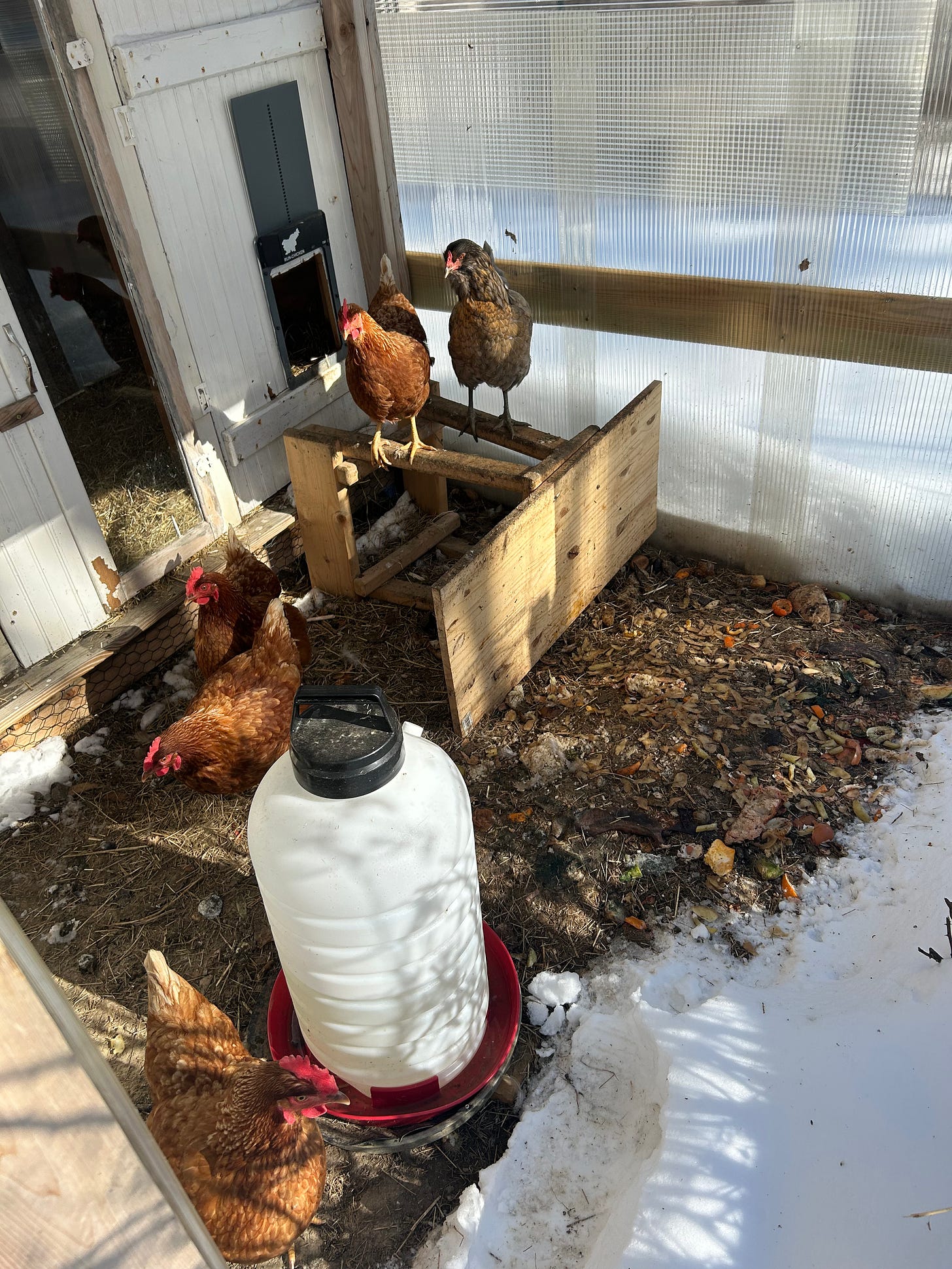 chicken coop