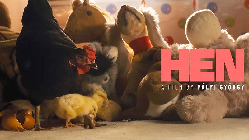 Full Official Trailer for 'The Hen' Film Following a Chicken On the Run ...