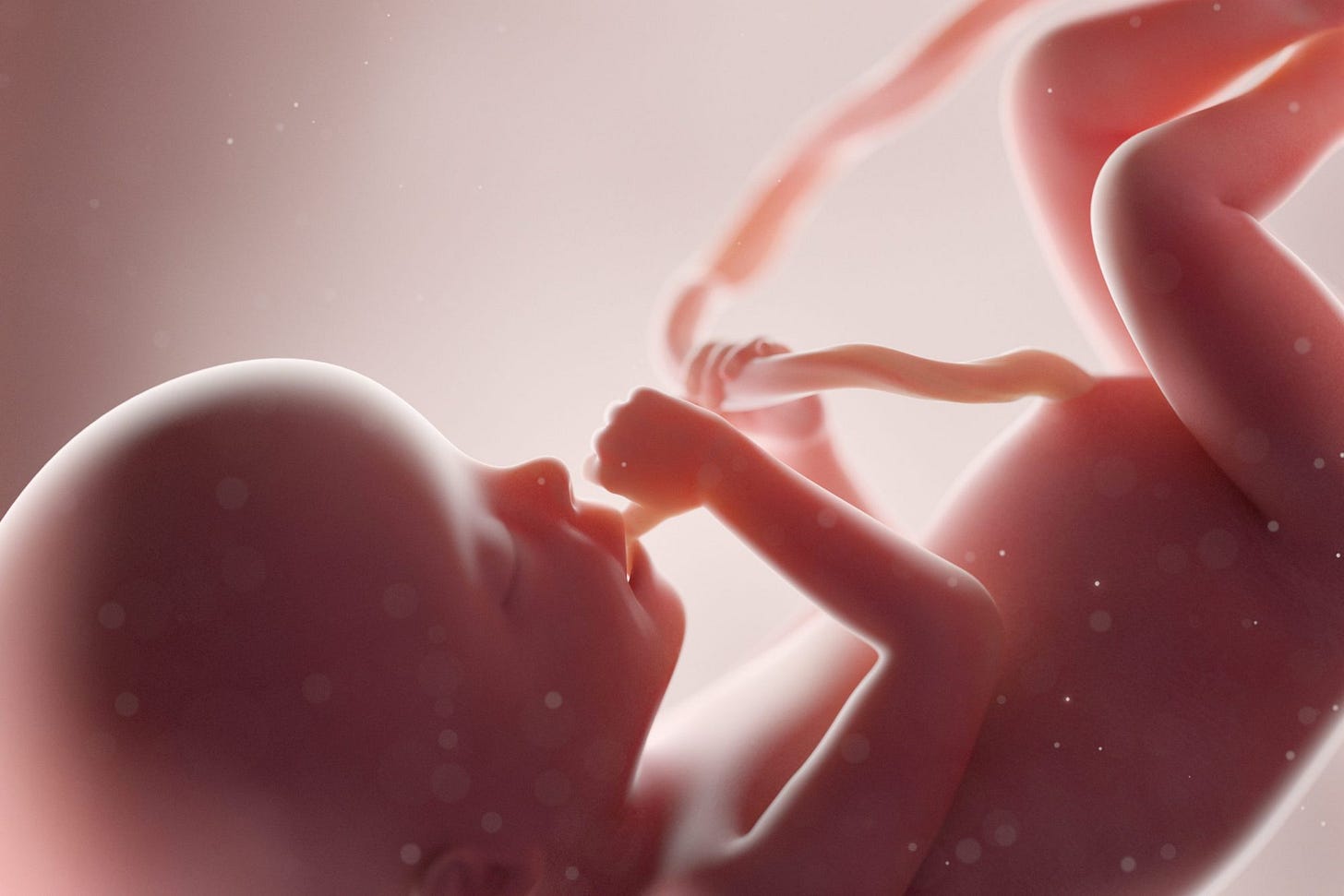 Is 'Baby Olivia' headed to a school near you? Bills in several states would  allow screenings of fetal development video - The Hechinger Report