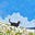 ⋆ ˚｡⋆୨୧˚Ale's avatar