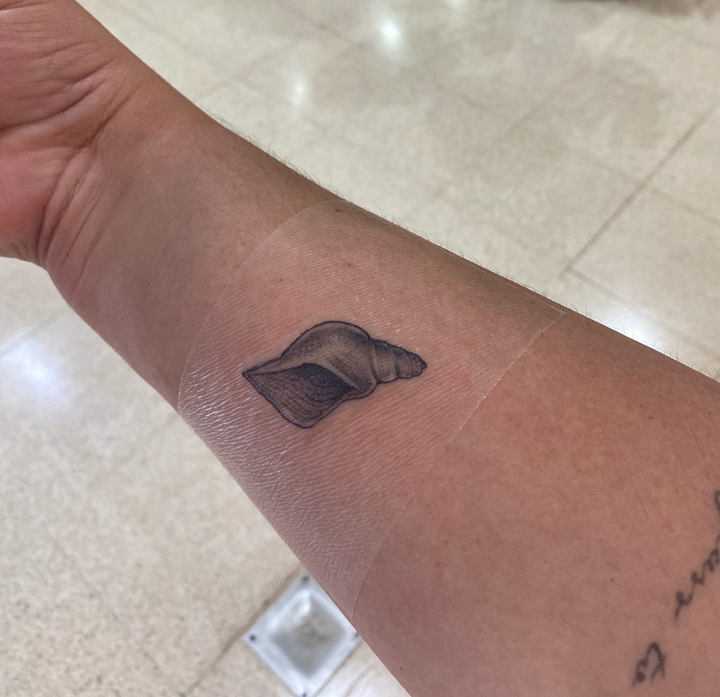 Foto do meu antebraço, com a tatuagem de concha.