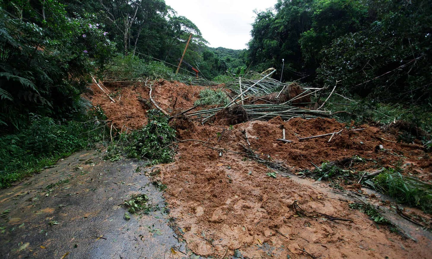 What is a Mudslide and How Are They Caused? - A-Z Animals What is a Mudslide and How Are They Caused? - A-Z Animals